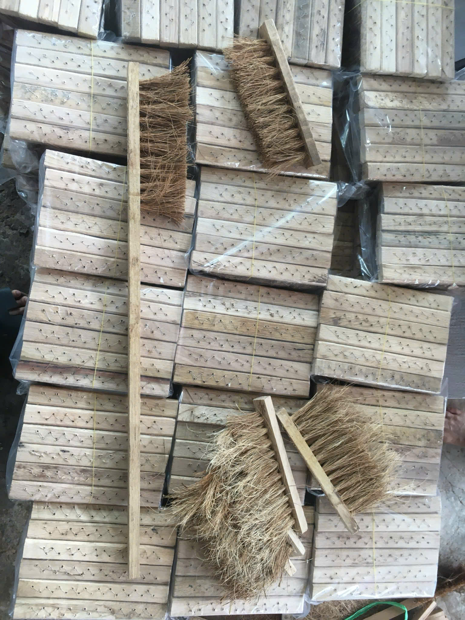 Coconut Household Item