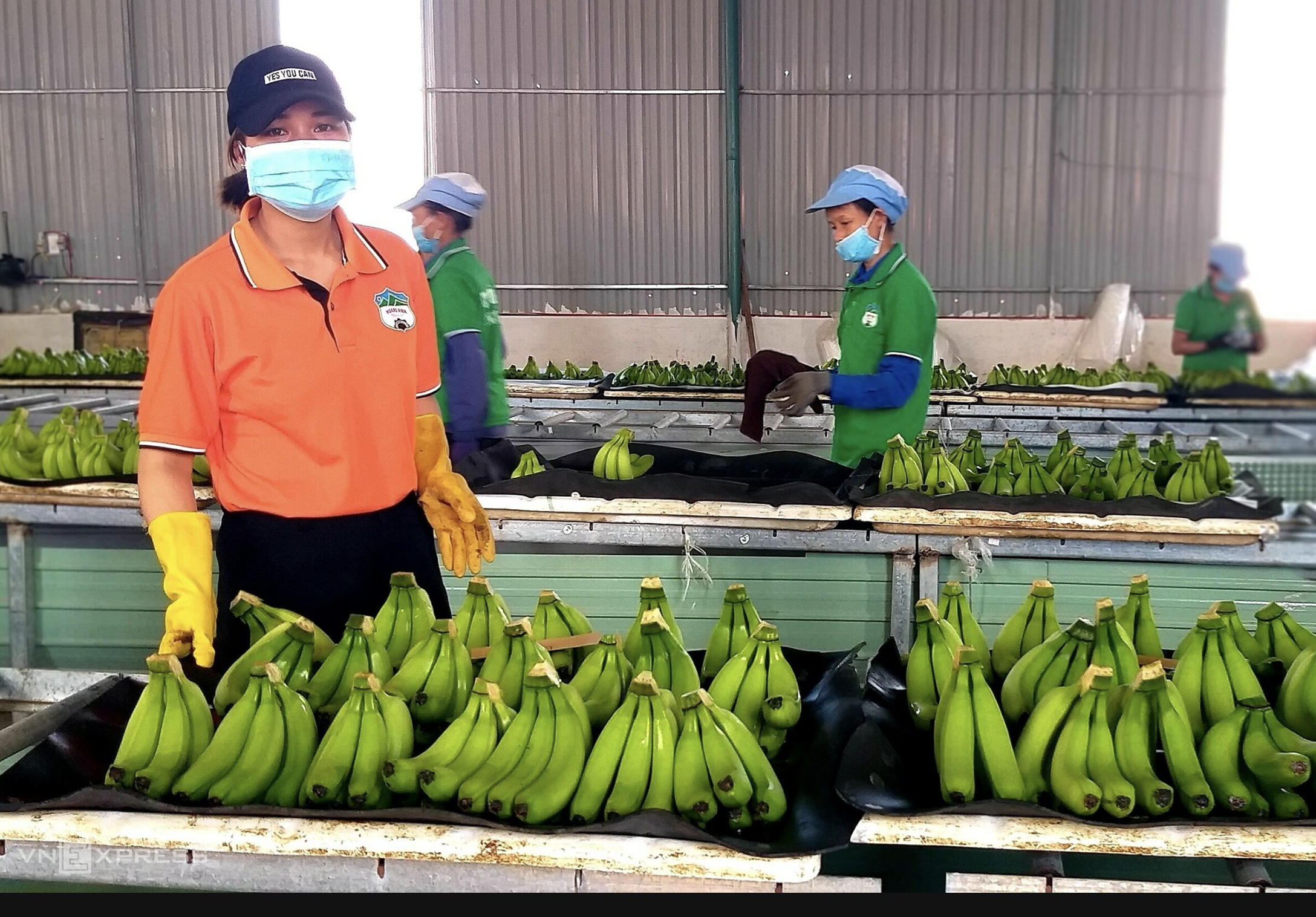 Thiên Sơn Phát Facility