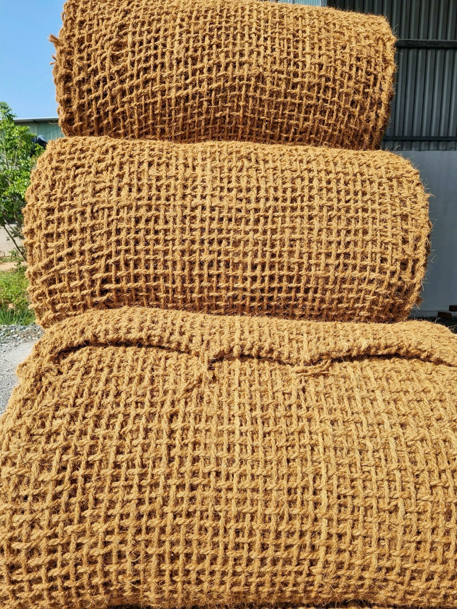 Coir Net