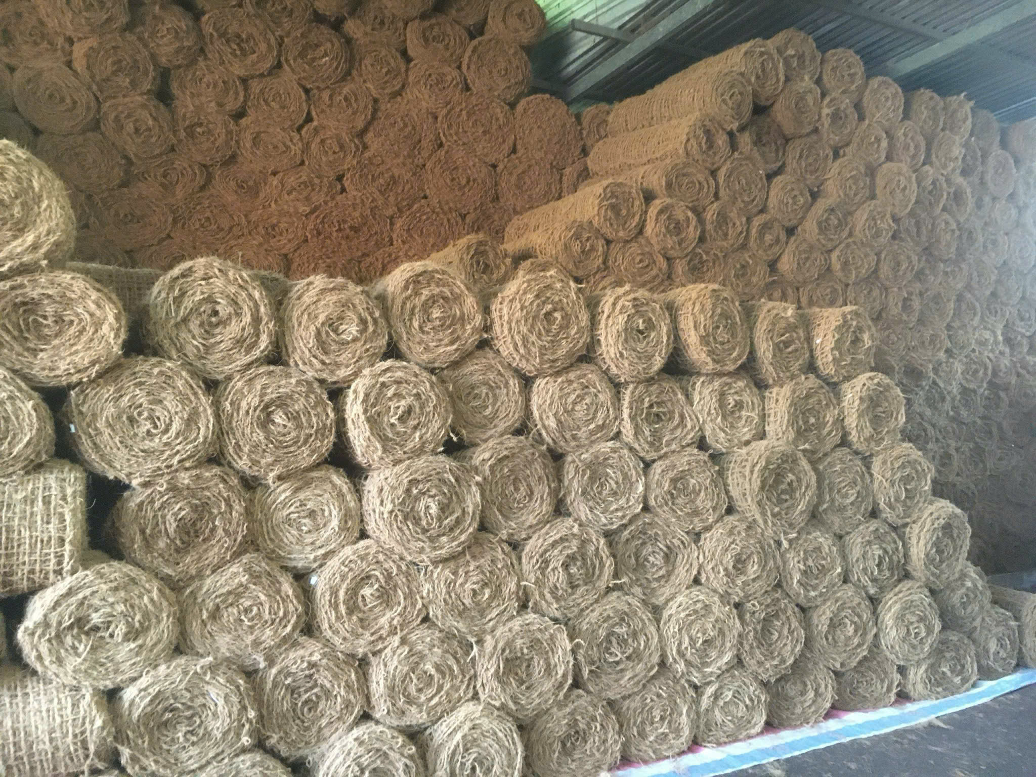 Coir Net