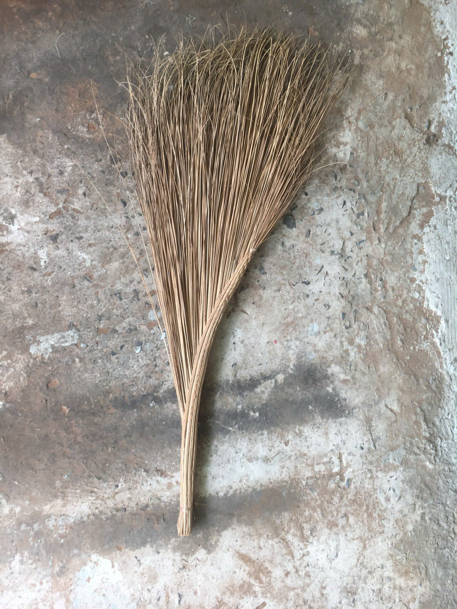 Coconut Household Item