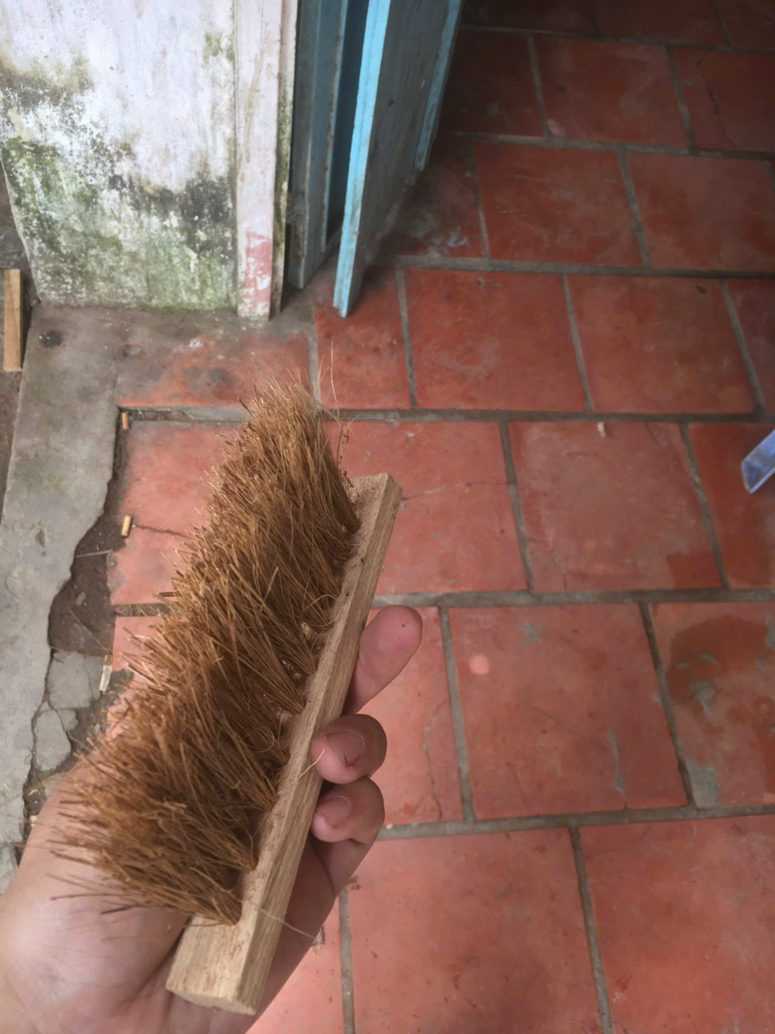 Coconut Household Item