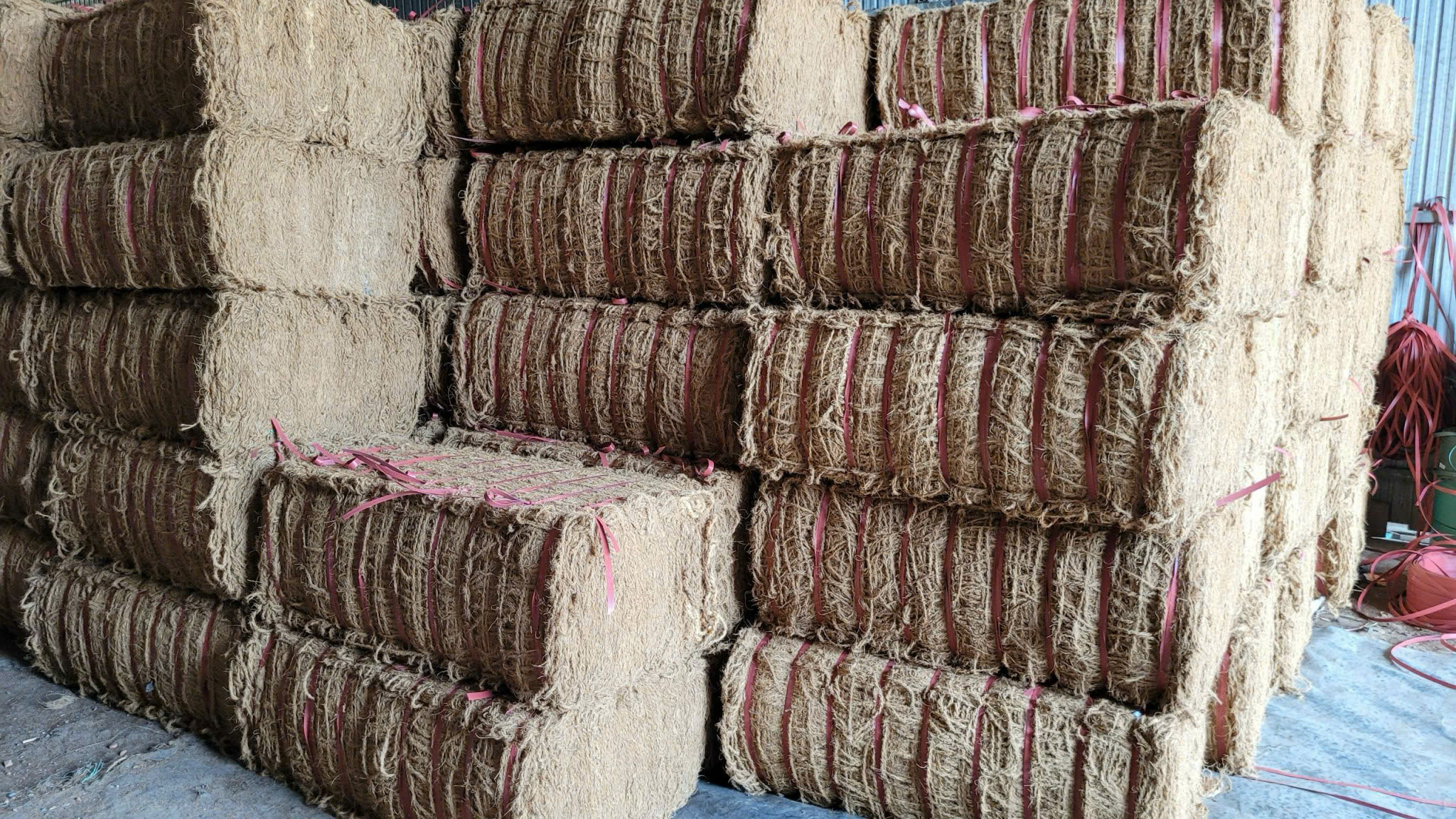 Coir Net