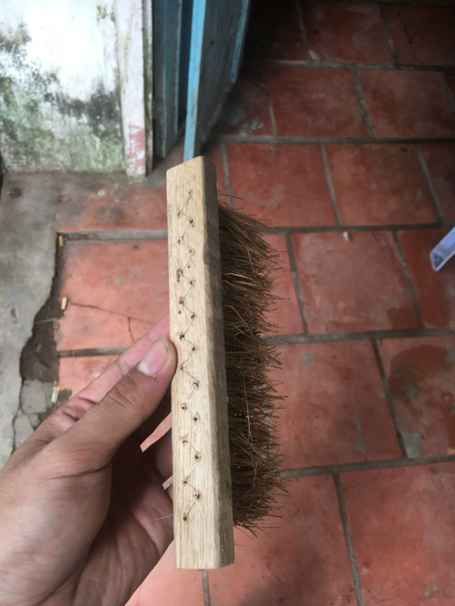 Coconut Household Item