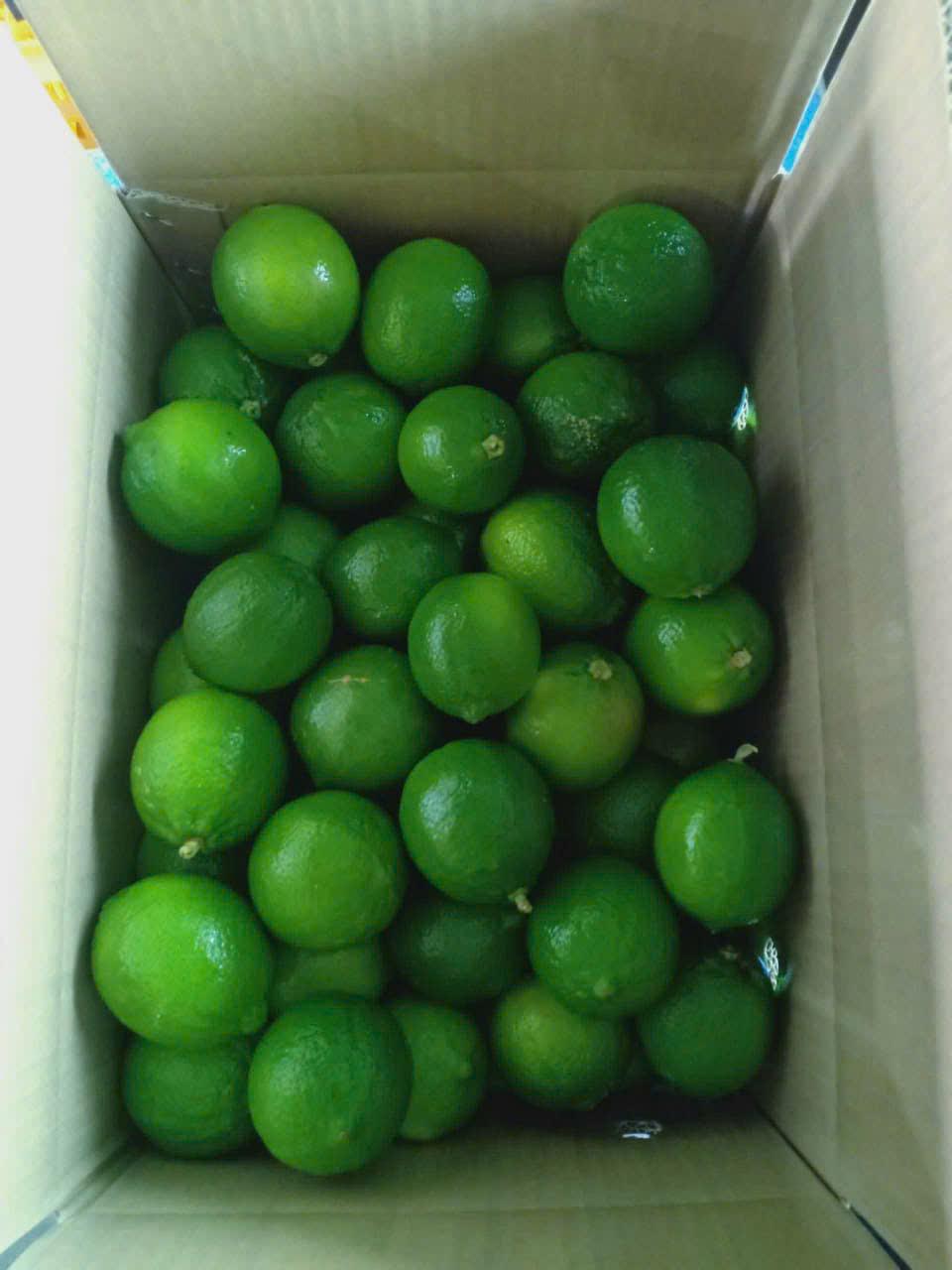 Agricultural Product