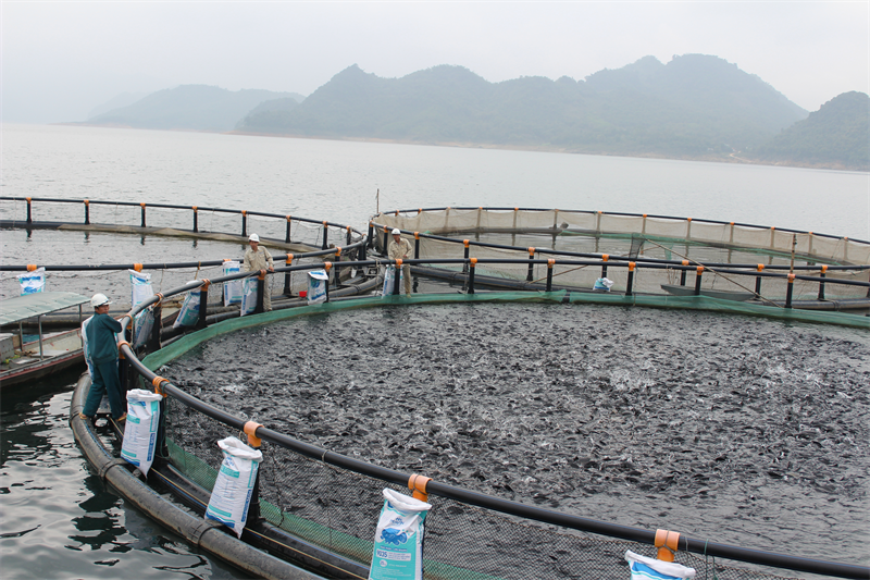 Premium Aquaculture