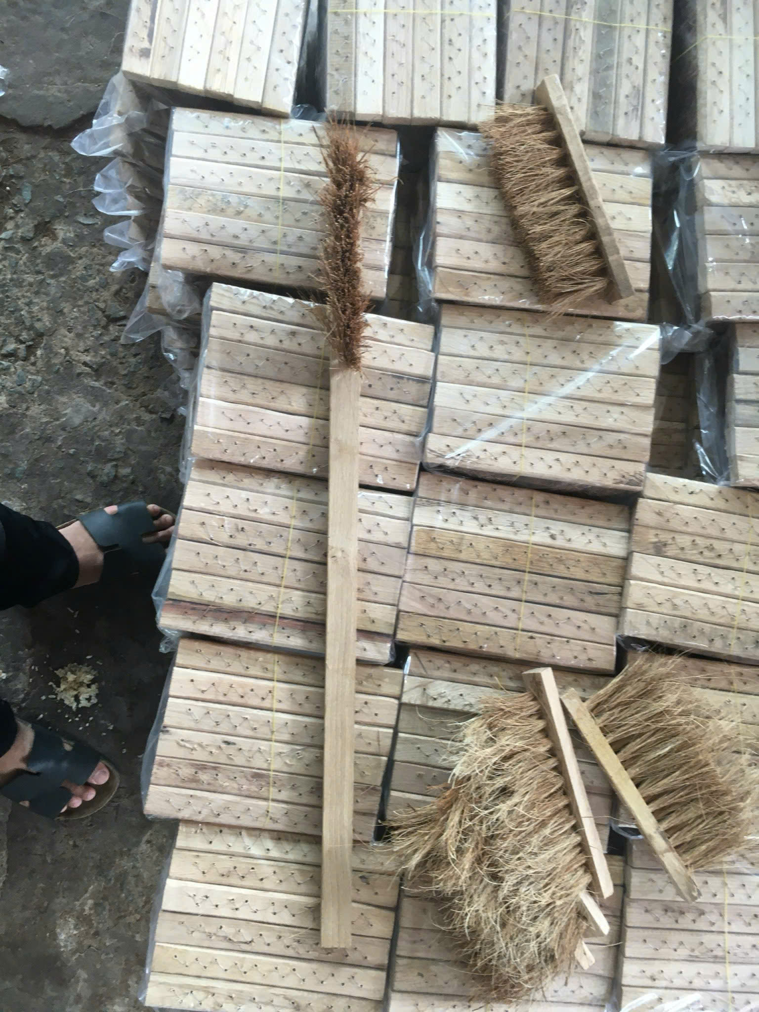 Coconut Household Item