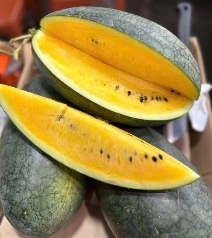 Agricultural Product