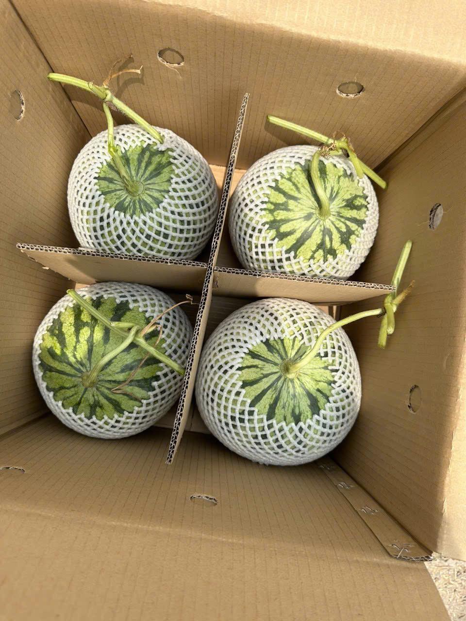 Agricultural Product