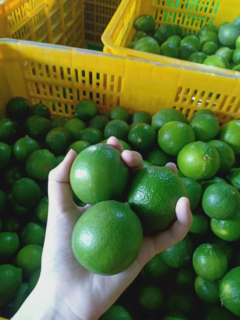 Agricultural Product