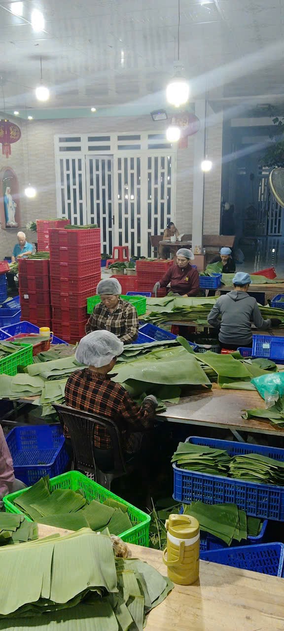 Export Quality Leaves