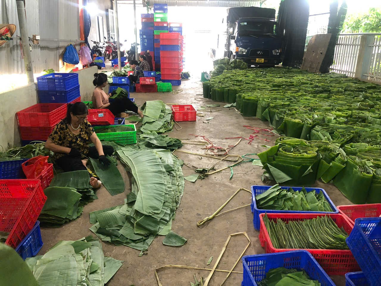 Traditional Cooking Leaves