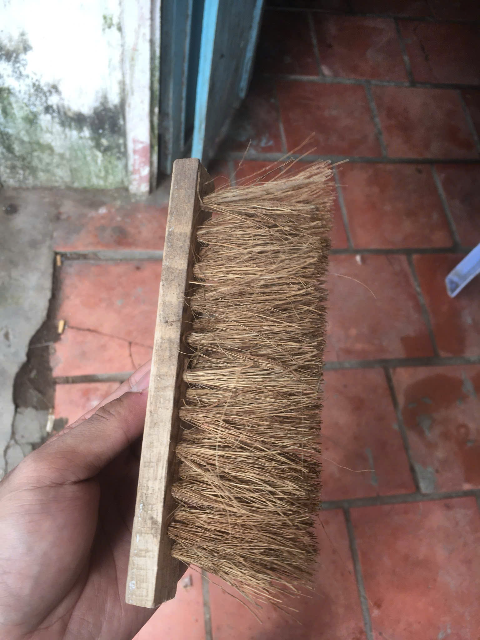 Coconut Household Item
