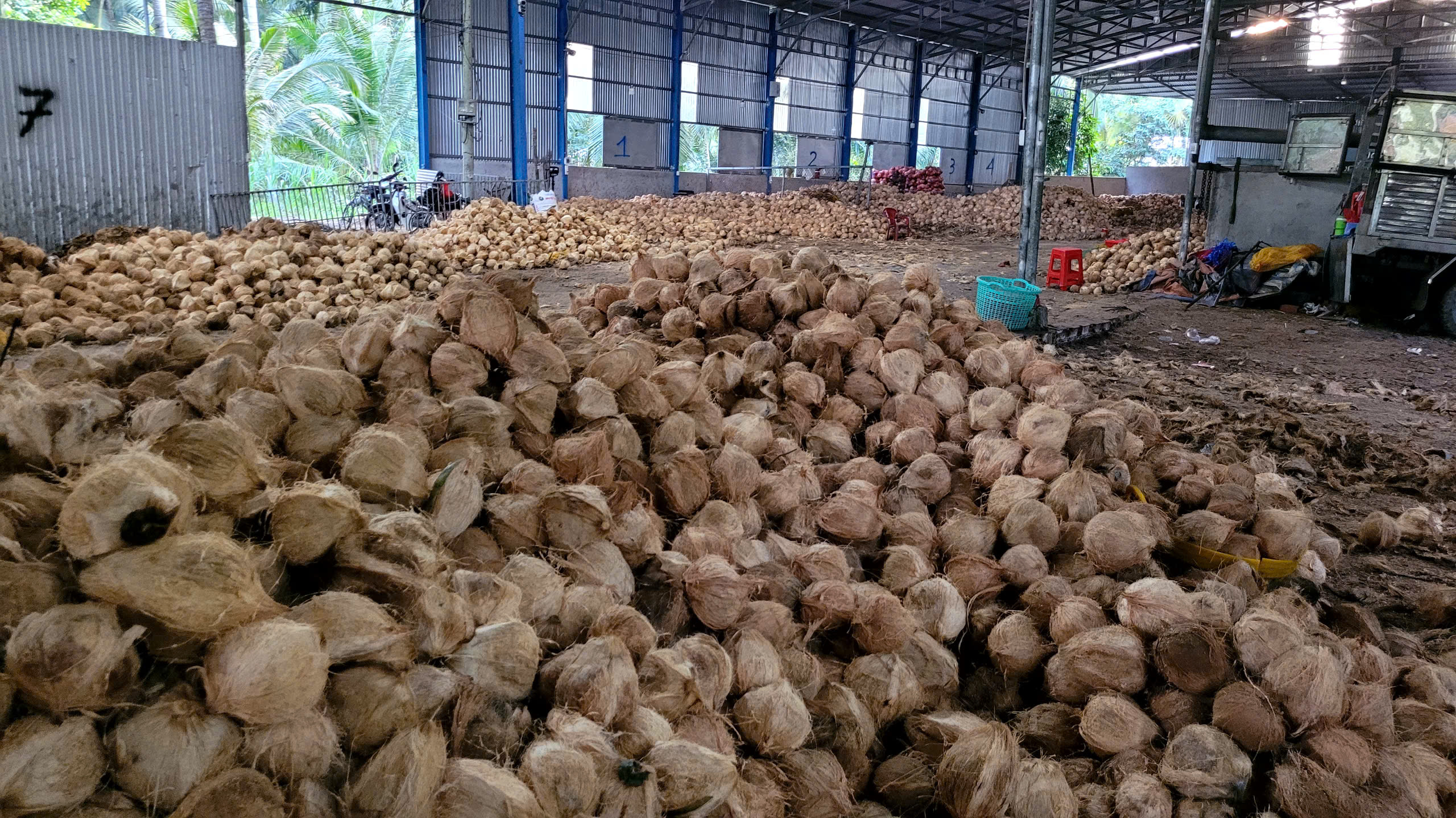 Dried Coconut