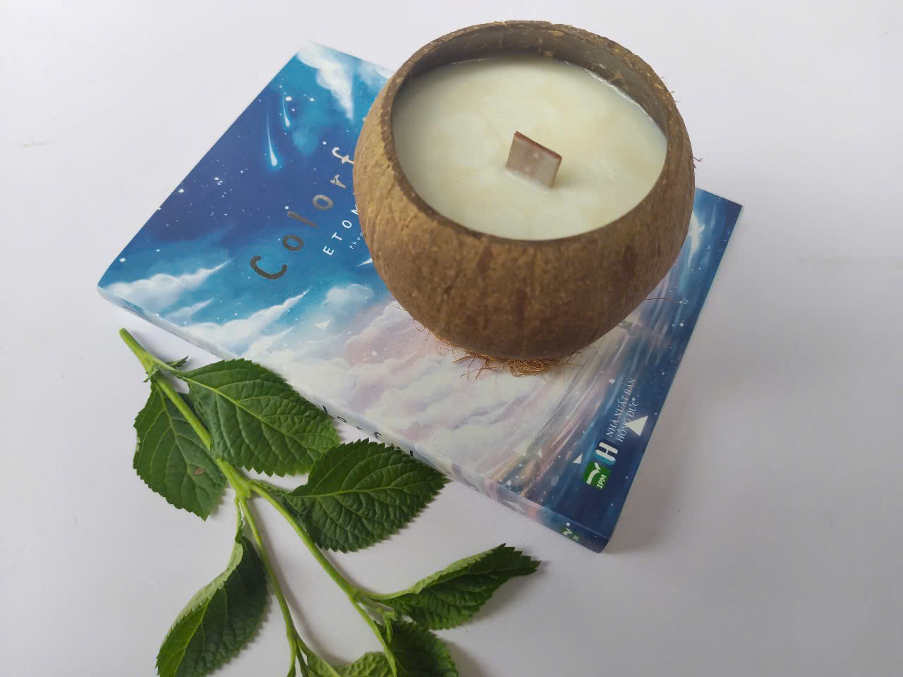 Coconut Candle