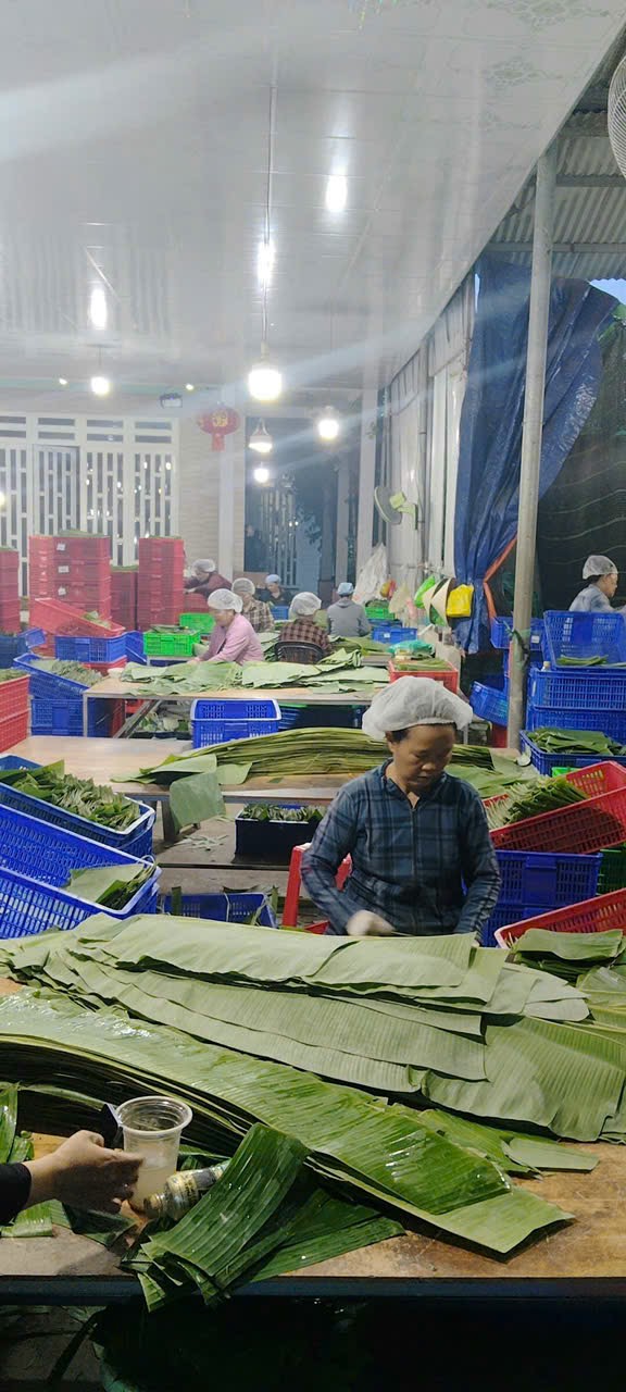 Cleaned Banana Leaves