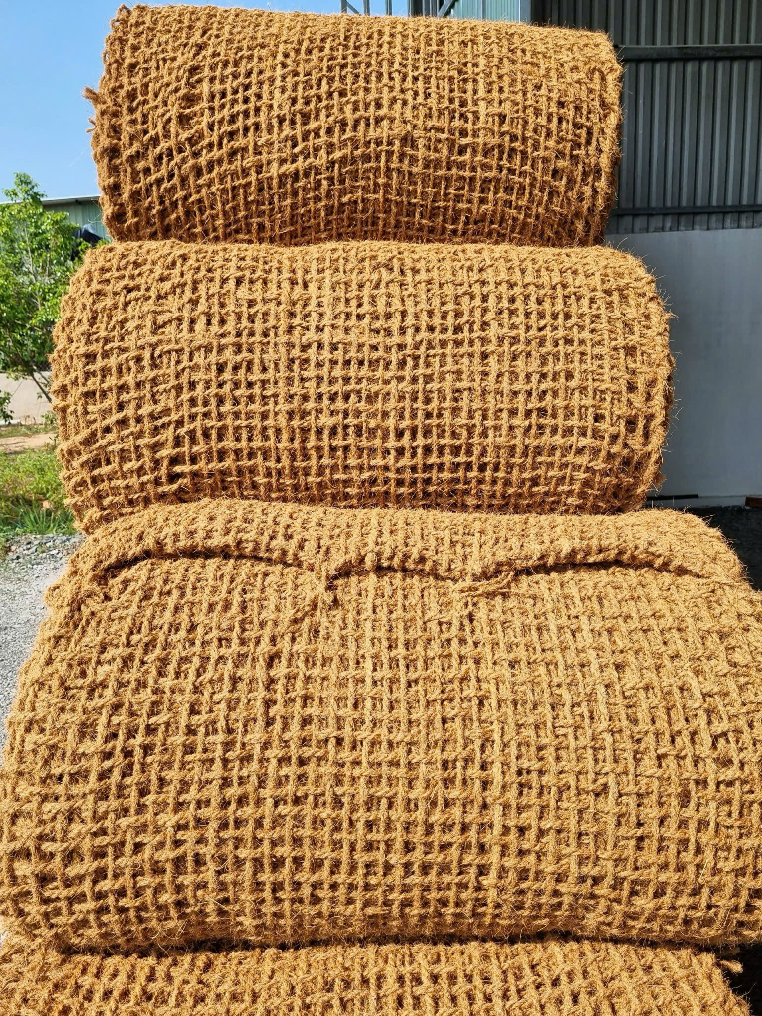 Coir Net