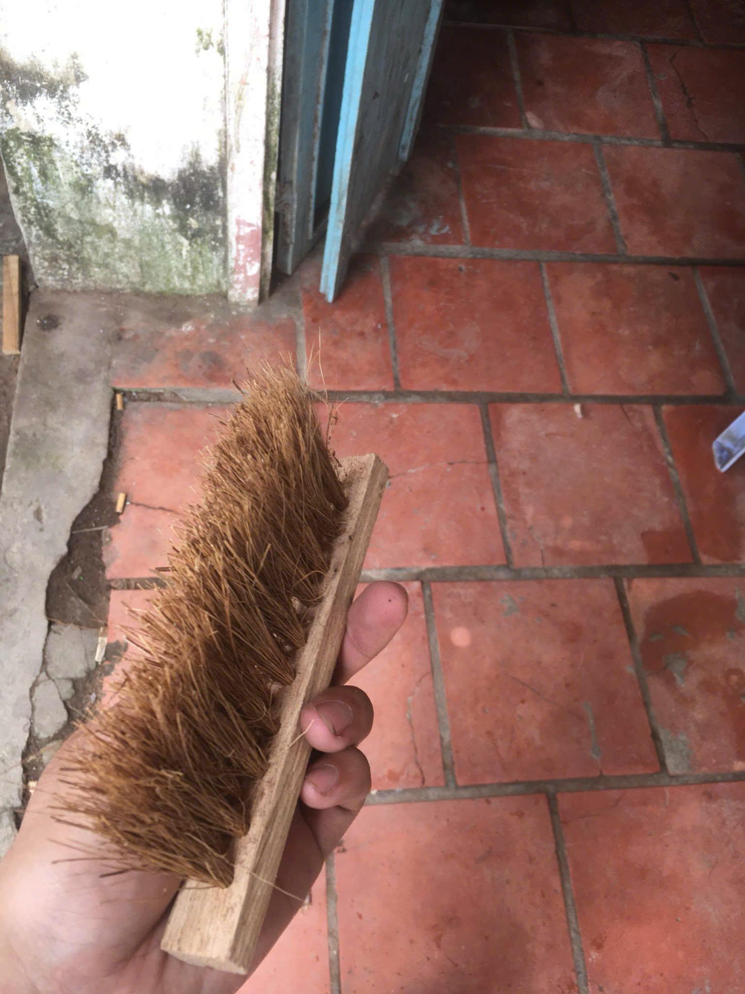 Coconut Household Item