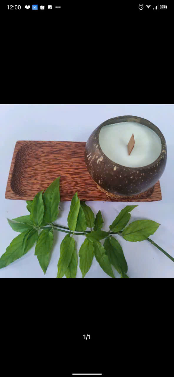 Coconut Candle