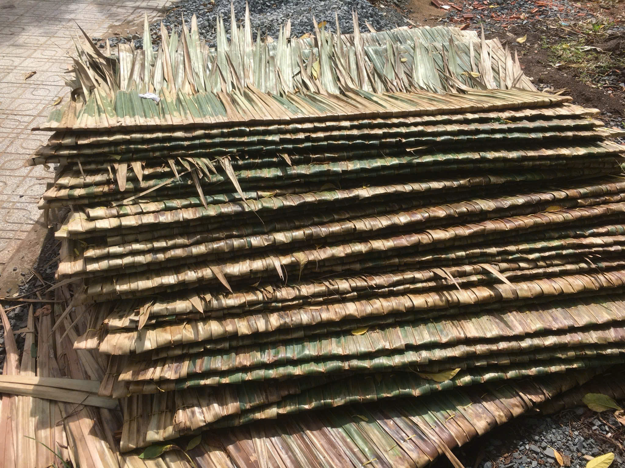 Coconut Household Item